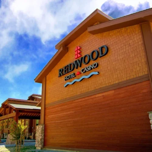 AF1QipNdY84-eH_W6UChxPUYTjalXeYcMvcH2icDX3Z-=s680-w680-h510-rw